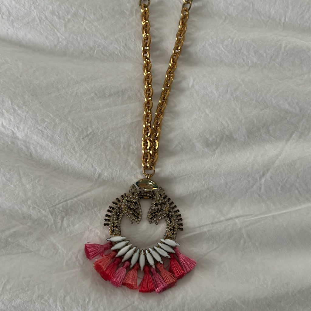Elizabeth Cole Long Necklace